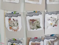 img (3)
